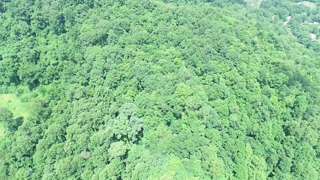 Image for SOLD $16,500 - 15 Acres Selling to the Highest Bidder