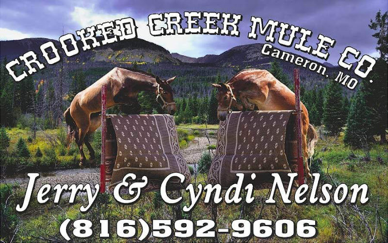 Image for Diamond RC Mule Sale/Missouri Mule Makeover Sale SUNDAY, SEPTEMBER 3RD Springfield, MO