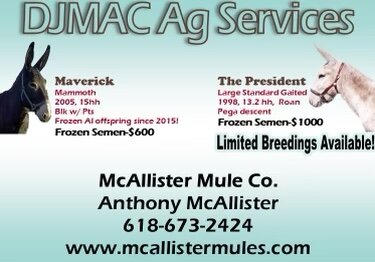 Image for Diamond RC Mule Sale/Missouri Mule Makeover Sale SUNDAY, SEPTEMBER 3RD Springfield, MO