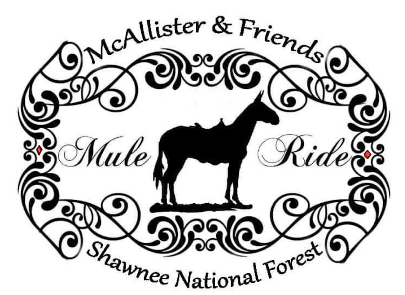 Image for Diamond RC Mule Sale/Missouri Mule Makeover Sale SUNDAY, SEPTEMBER 3RD Springfield, MO