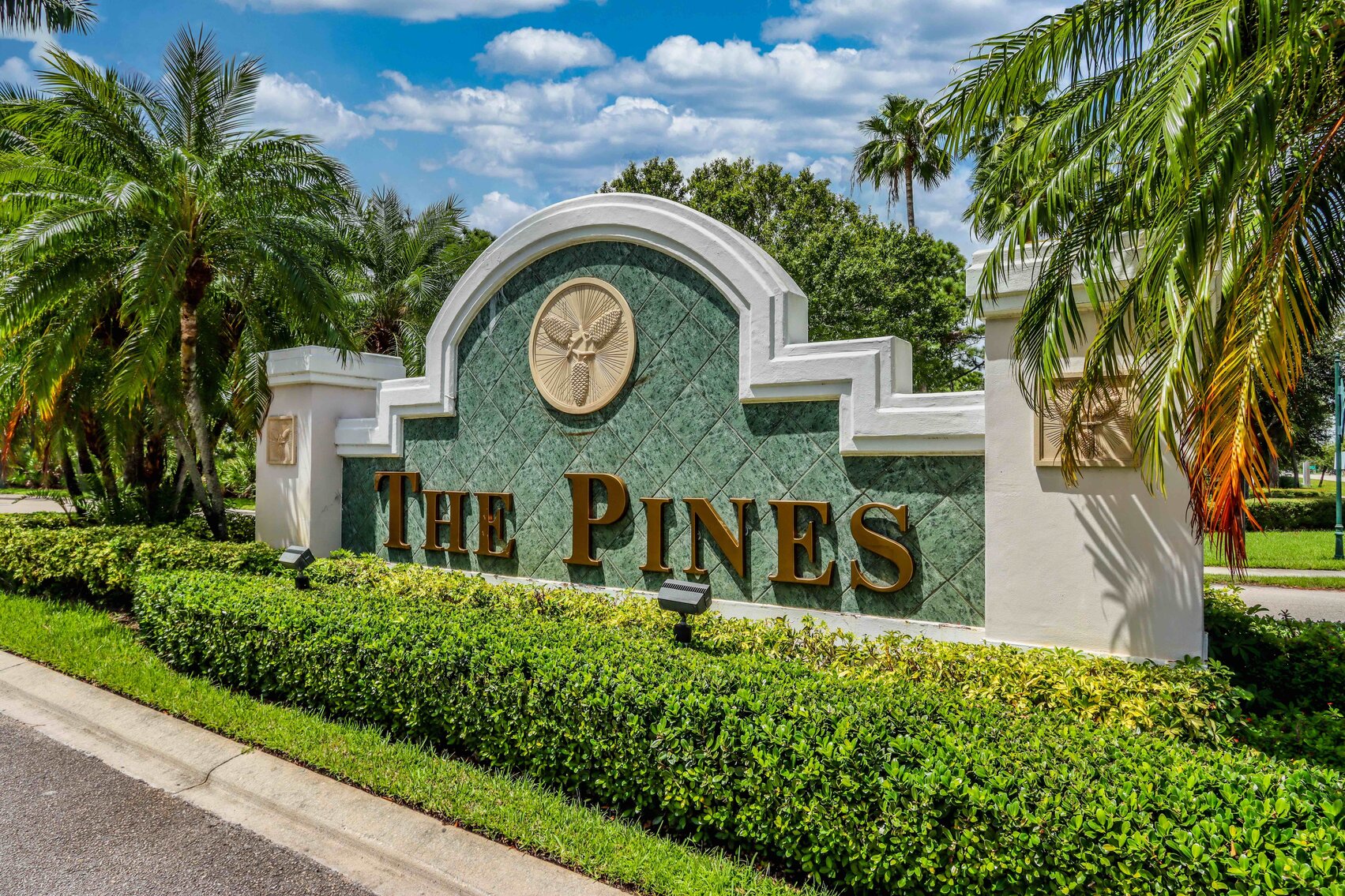 For Sale ONLY at AUCTION the ONLY Residential Lot in The Pines