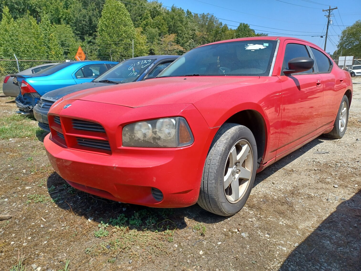 Image for September 2023 Impounds