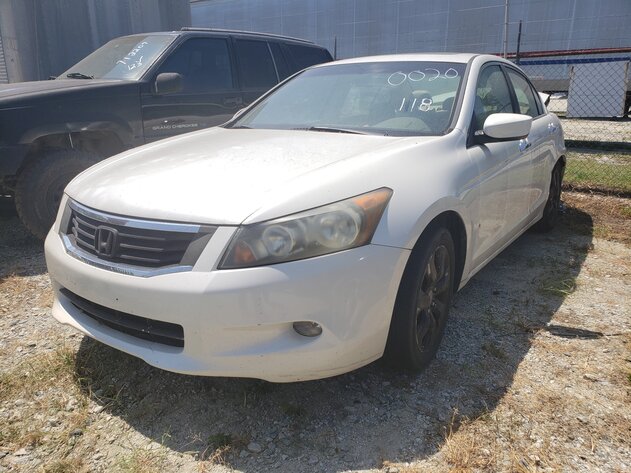 Image for September 2023 Impounds