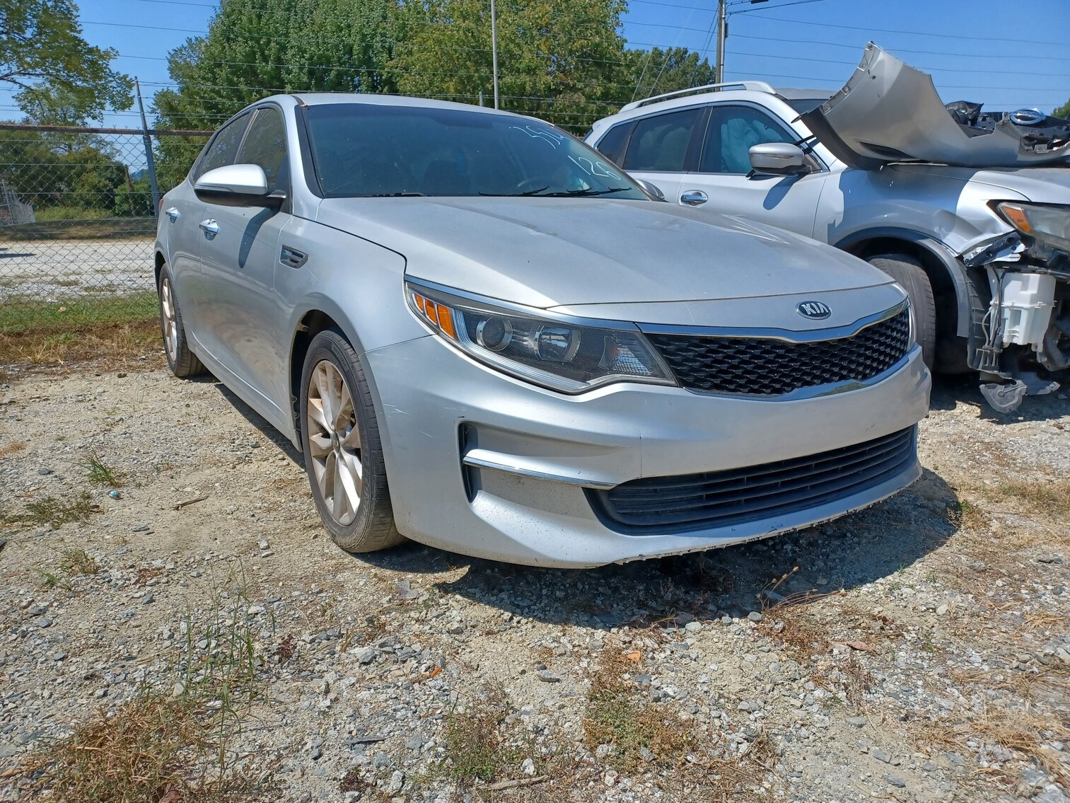 Image for September 2023 Impounds