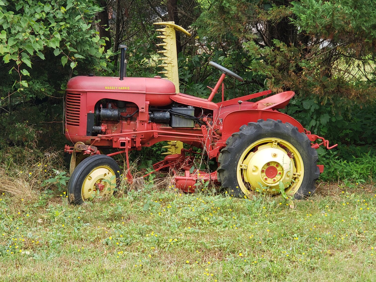 Image for Estate of Ann T. Patterson (deceased)