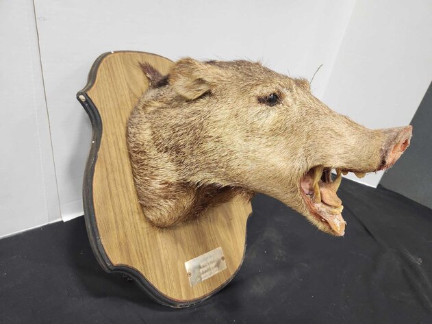 Image for Gale Howard Estate