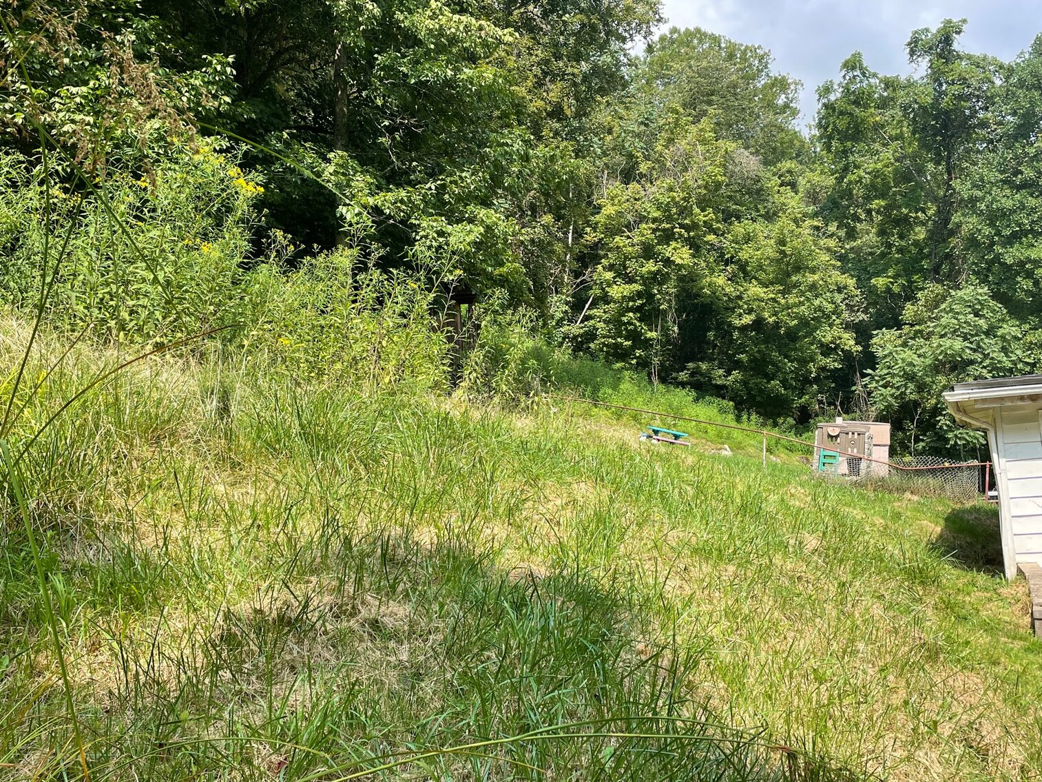 Image for SOLD $24,200 - Cozy Home on the Coal River Selling to the Highest Bidder