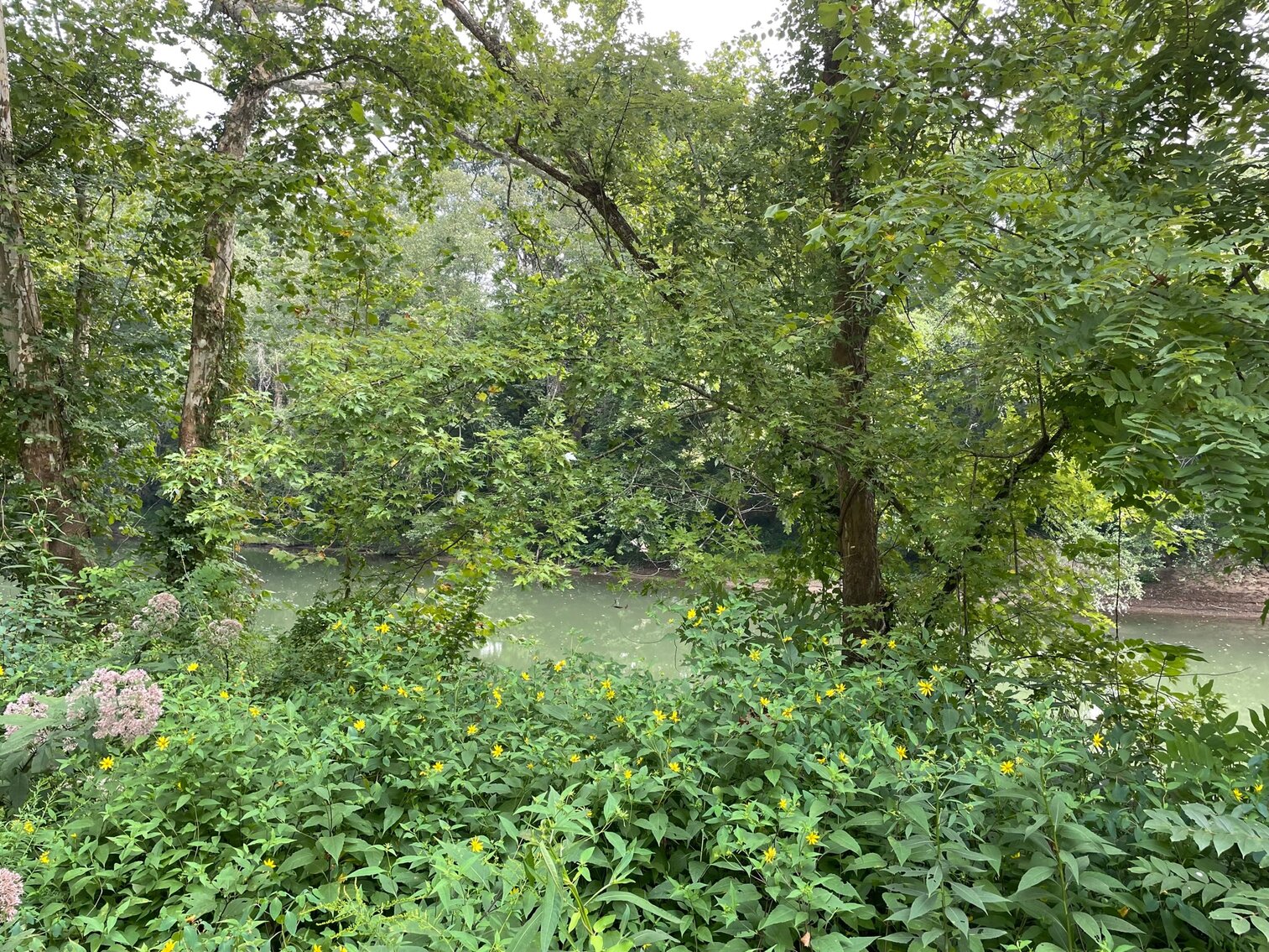 Image for SOLD $24,200 - Cozy Home on the Coal River Selling to the Highest Bidder