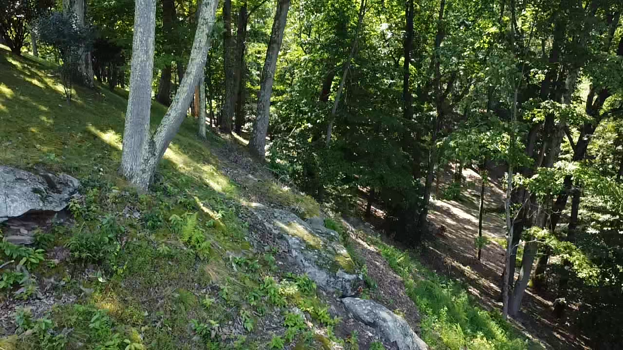 Image for SOLD $1,320,000 - Luxurious 8,000 sqft Home on 13 Acres in Quarry Ridge