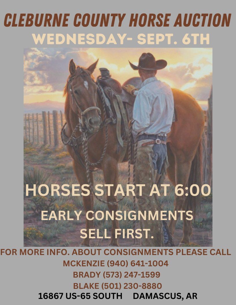 Cleburn County Horse Auction