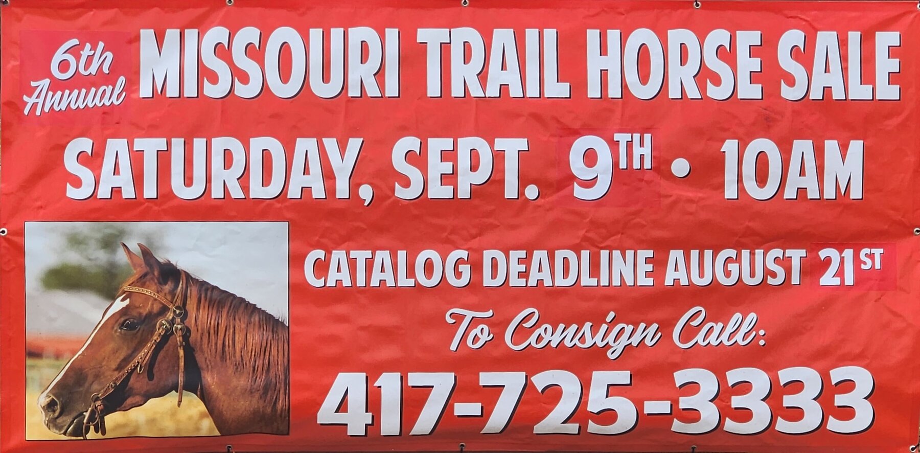 Missouri Gaited Trail Horse Sale SATURDAY SEPTEMBER 9TH Ava, Missouri