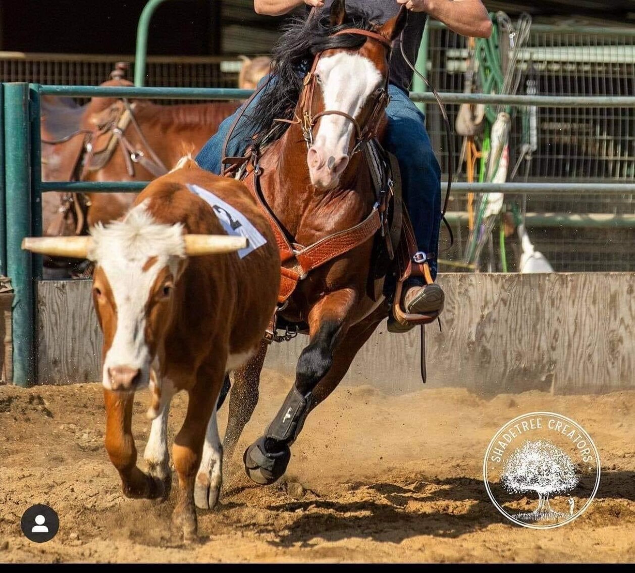 HermansonKist Fall All Breed Horse Sale Mandan, North Dakota