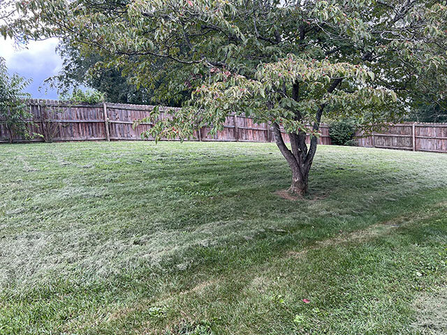 Image for 20007 McCRAY DRIVE  ABINGDON, VA 24210