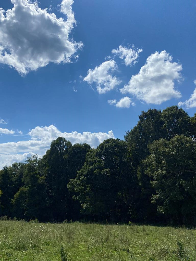 TBD Stetson Road Land For Sale in Galax, VA