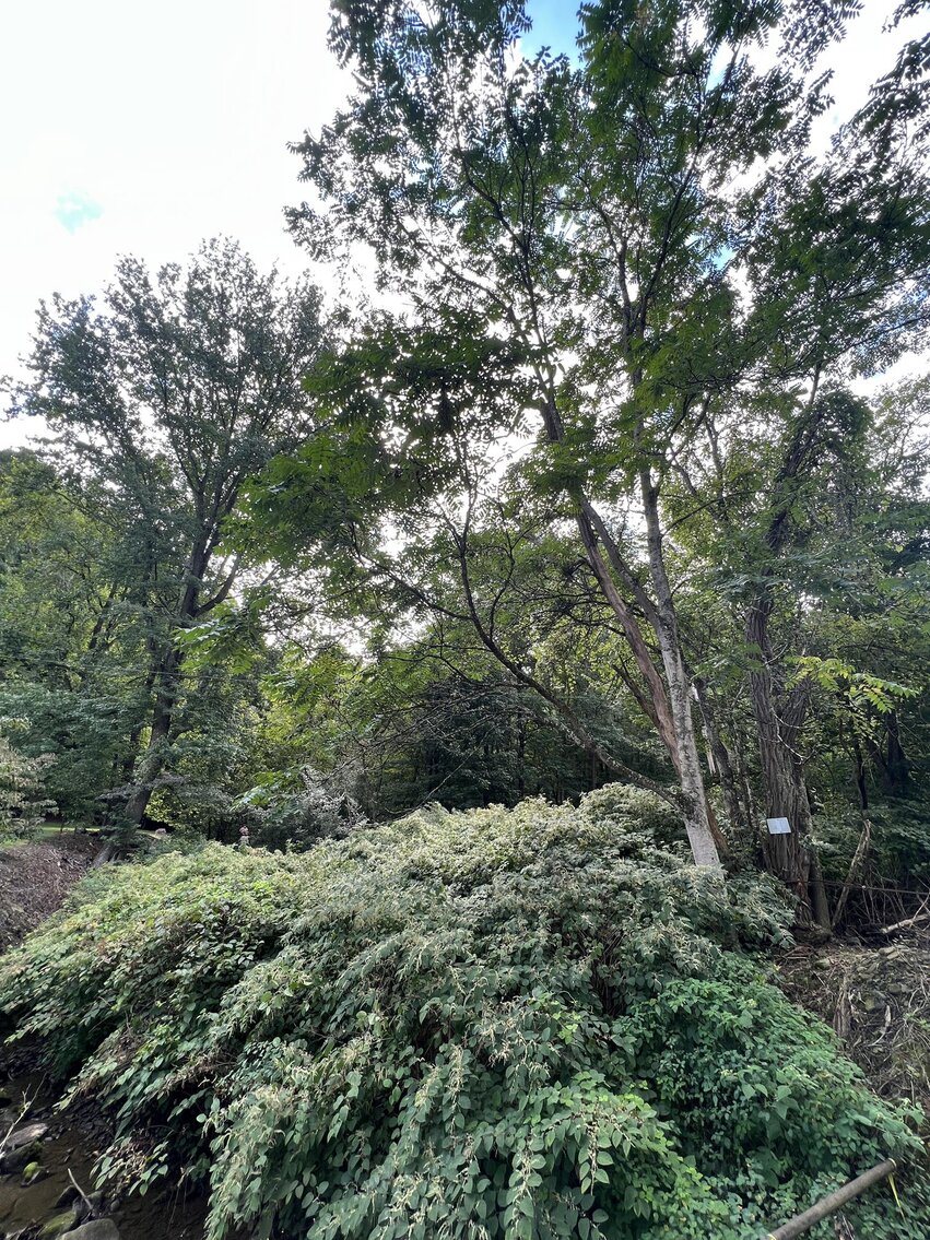 Image for SOLD - Nearly 300 Acres in Fayette County Selling to the Highest Bidder