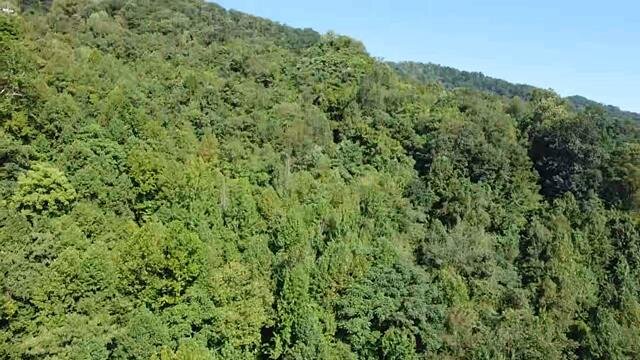 Image for SOLD - Nearly 300 Acres in Fayette County Selling to the Highest Bidder