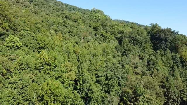 Image for SOLD - Nearly 300 Acres in Fayette County Selling to the Highest Bidder