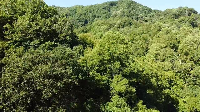 Image for SOLD - Nearly 300 Acres in Fayette County Selling to the Highest Bidder