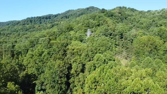 Image for SOLD - Nearly 300 Acres in Fayette County Selling to the Highest Bidder