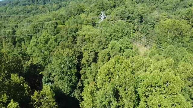 Image for SOLD - Nearly 300 Acres in Fayette County Selling to the Highest Bidder