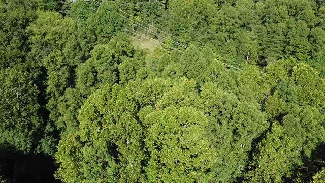 Image for SOLD - Nearly 300 Acres in Fayette County Selling to the Highest Bidder