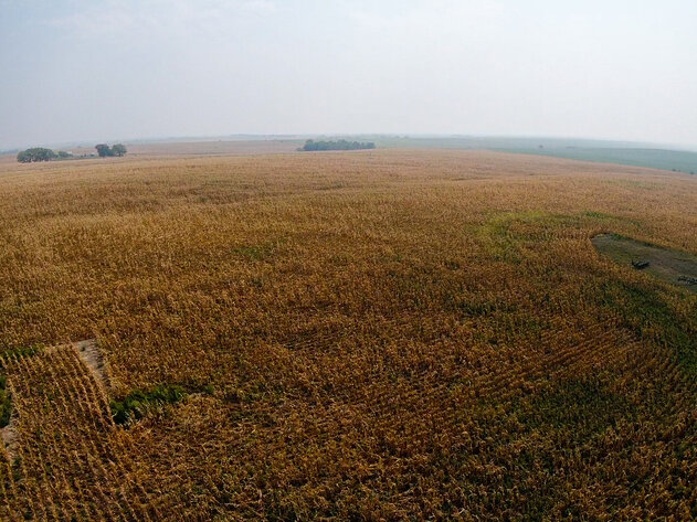 Image for Absolute Jefferson County Farmland Auction by the Schaardt Auction Team with Burrows Tracts Real Estate