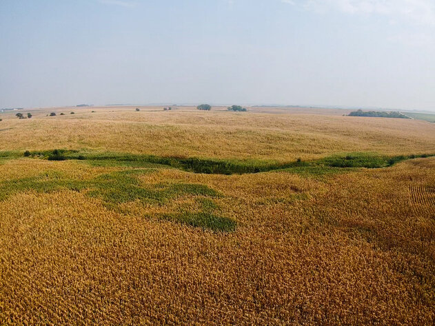 Image for Absolute Jefferson County Farmland Auction by the Schaardt Auction Team with Burrows Tracts Real Estate