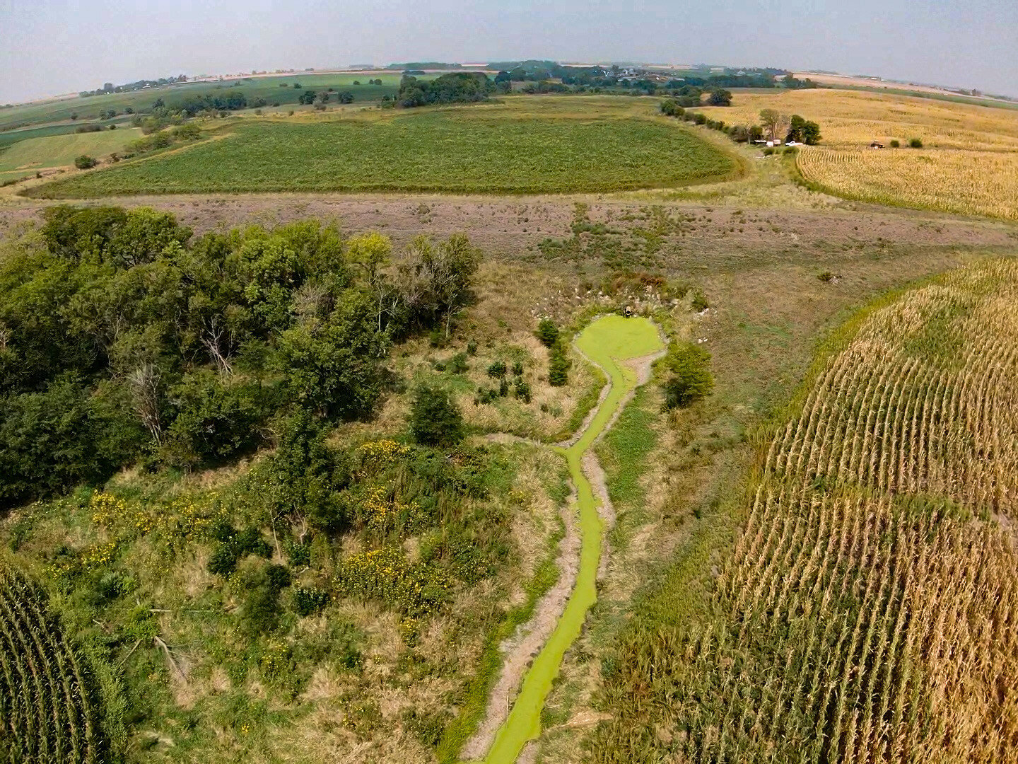 Image for Absolute Jefferson County Farmland Auction by the Schaardt Auction Team with Burrows Tracts Real Estate