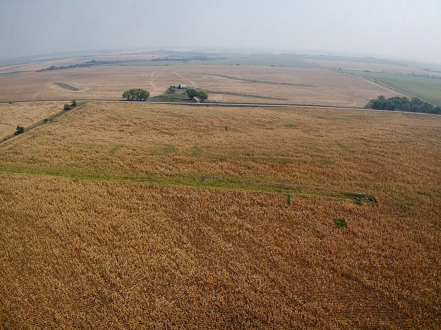 Image for Absolute Jefferson County Farmland Auction by the Schaardt Auction Team with Burrows Tracts Real Estate