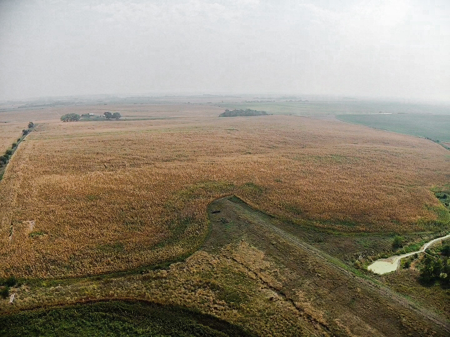 Image for Absolute Jefferson County Farmland Auction by the Schaardt Auction Team with Burrows Tracts Real Estate