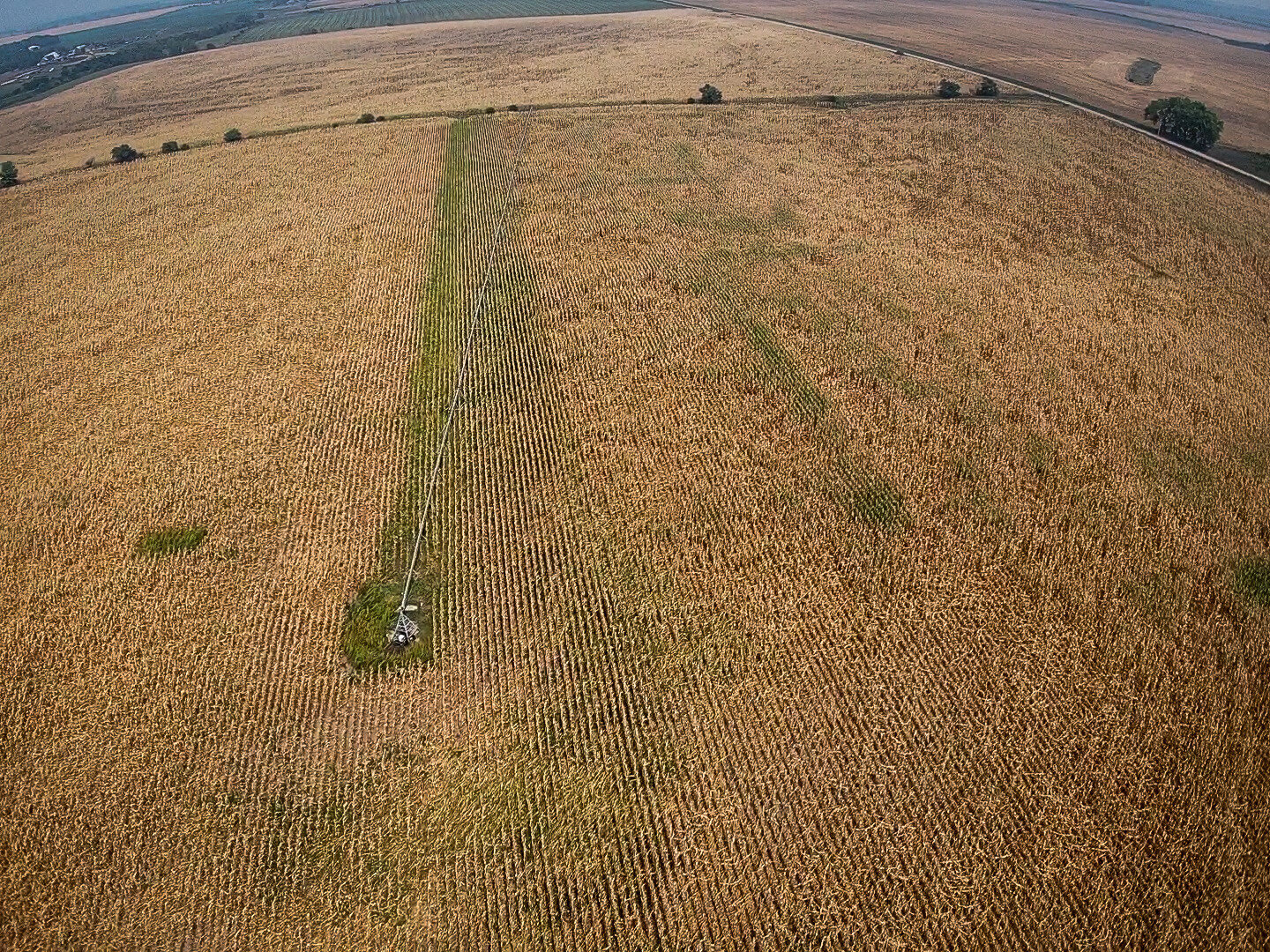 Image for Absolute Jefferson County Farmland Auction by the Schaardt Auction Team with Burrows Tracts Real Estate