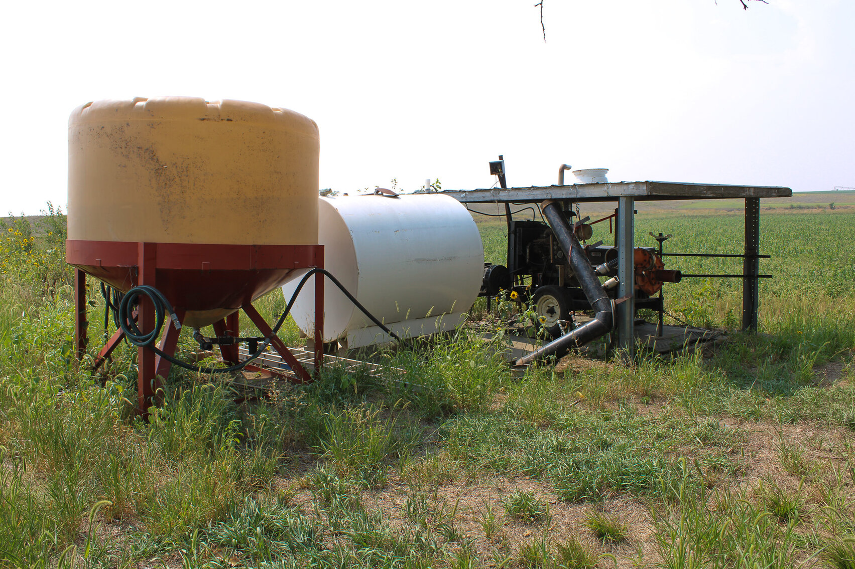 Image for Absolute Jefferson County Farmland Auction by the Schaardt Auction Team with Burrows Tracts Real Estate