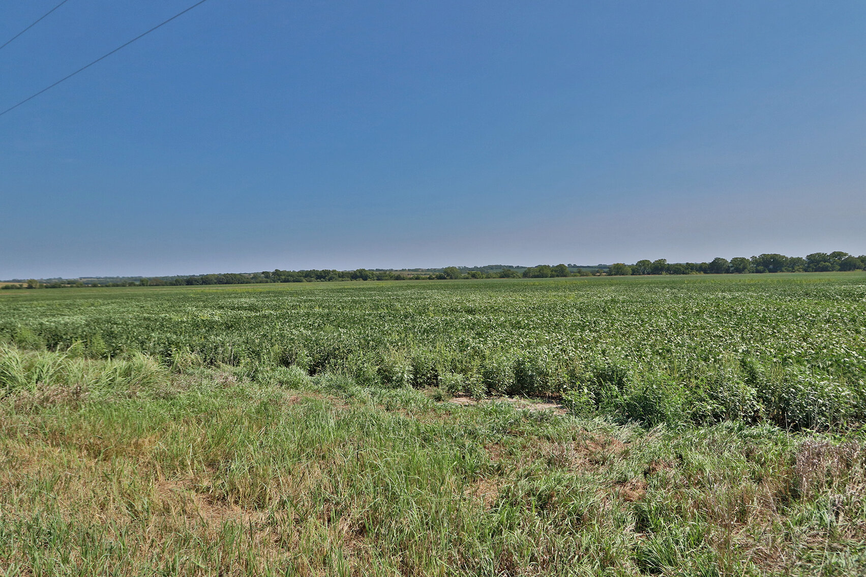 Image for Vrtiska Family Farms Land Auction - Pawnee County by the Schaardt Auction Team with Burrows Tracts Real Estate