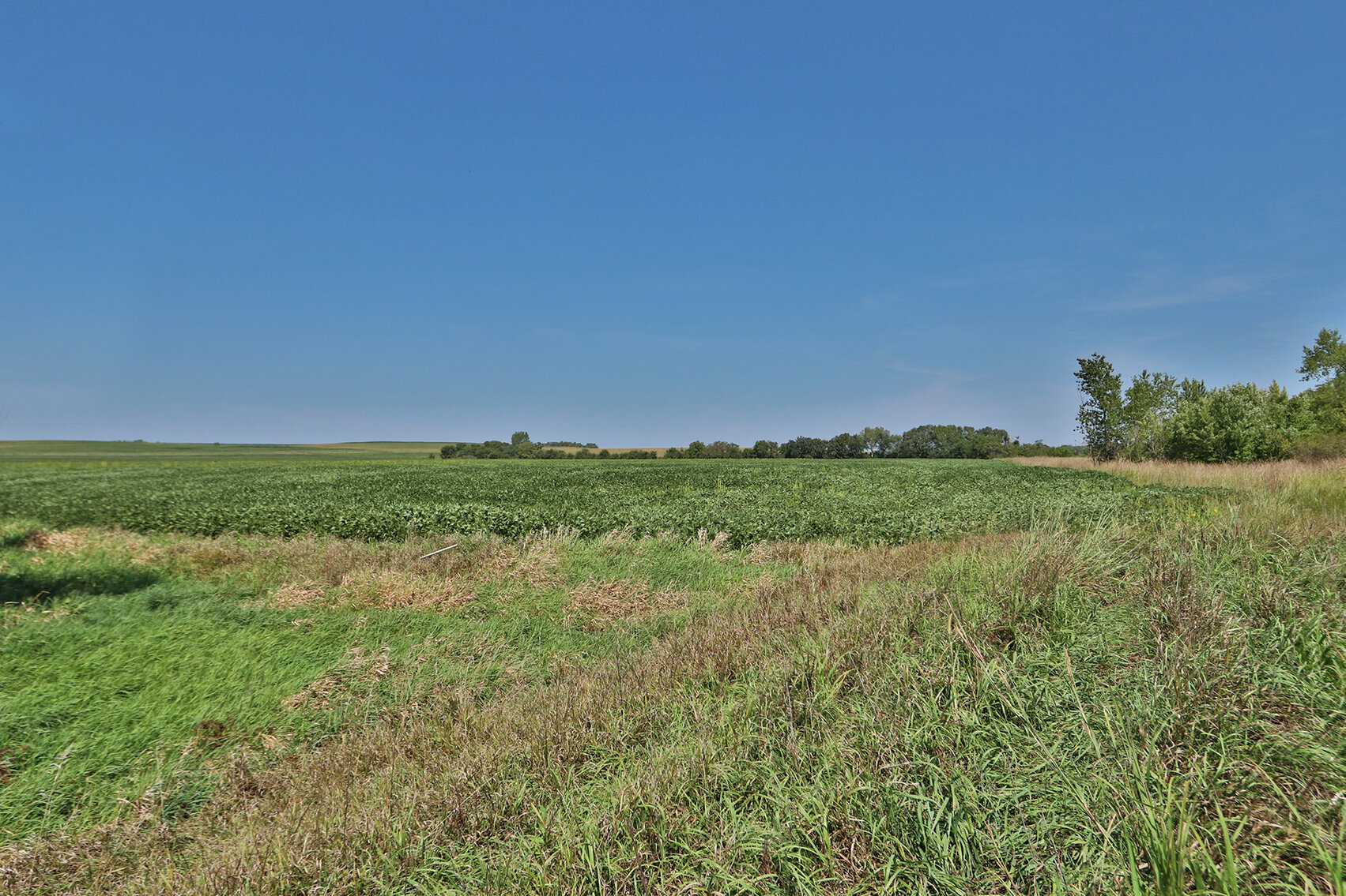 Image for Vrtiska Family Farms Land Auction - Pawnee County by the Schaardt Auction Team with Burrows Tracts Real Estate