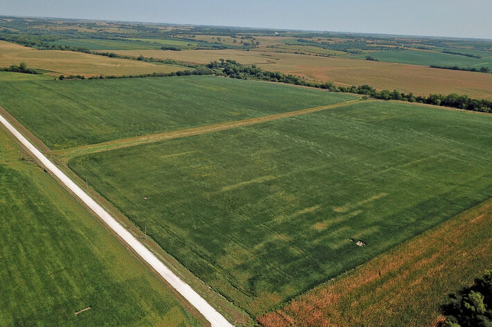 Image for Vrtiska Family Farms Land Auction - Pawnee County by the Schaardt Auction Team with Burrows Tracts Real Estate