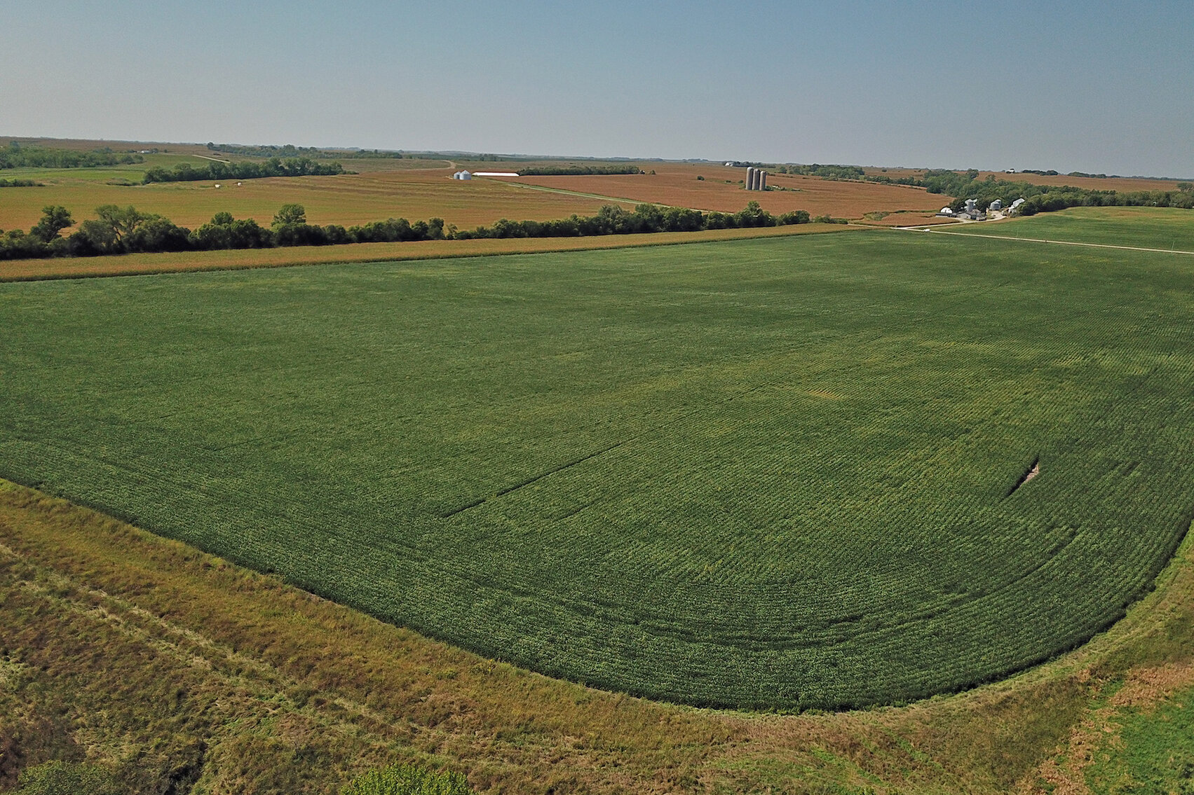 Image for Vrtiska Family Farms Land Auction - Pawnee County by the Schaardt Auction Team with Burrows Tracts Real Estate