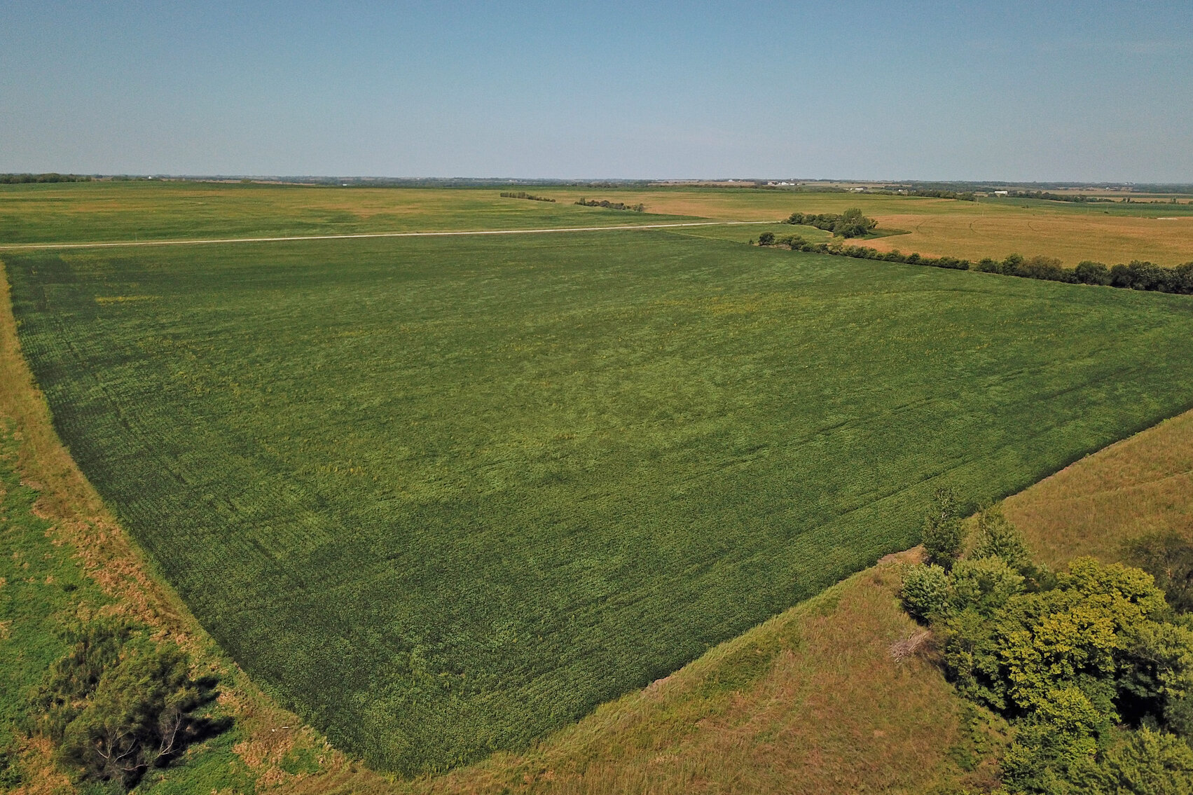 Image for Vrtiska Family Farms Land Auction - Pawnee County by the Schaardt Auction Team with Burrows Tracts Real Estate