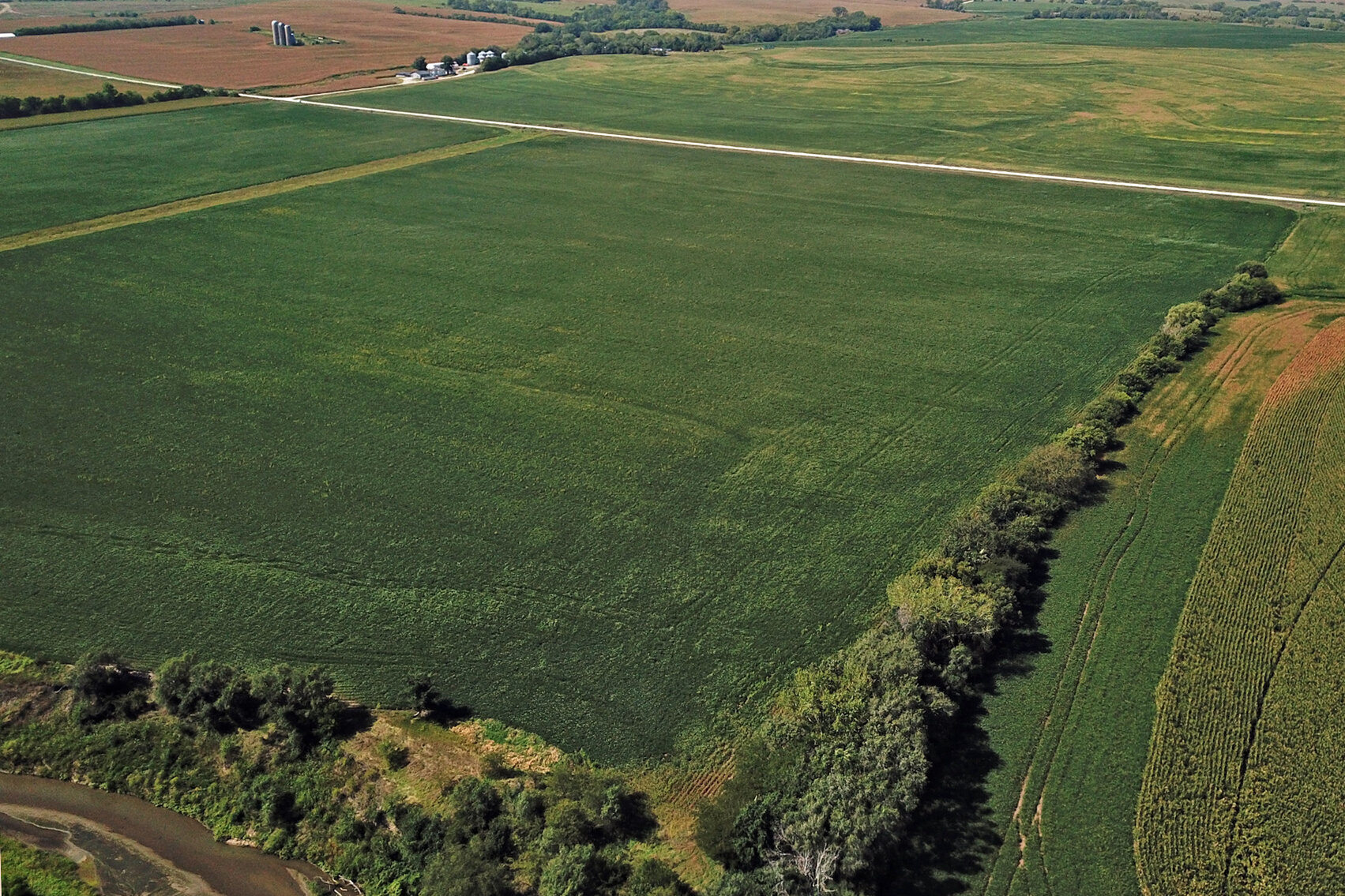 Image for Vrtiska Family Farms Land Auction - Pawnee County by the Schaardt Auction Team with Burrows Tracts Real Estate