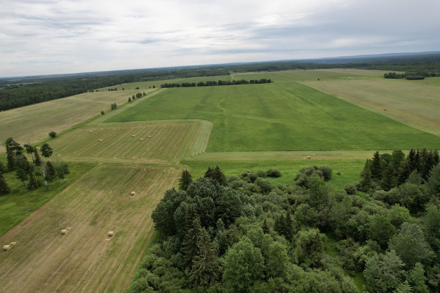 Image for ELMWORTH NW-16-69-11-W6