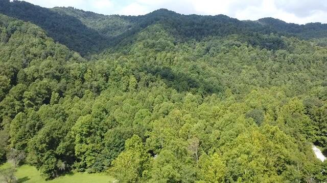 Image for SOLD $104,500 - 121 Acres in Wyoming County Selling to the Highest Bidder