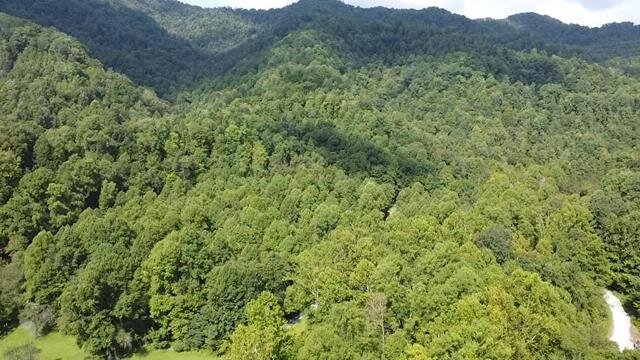 Image for SOLD $104,500 - 121 Acres in Wyoming County Selling to the Highest Bidder