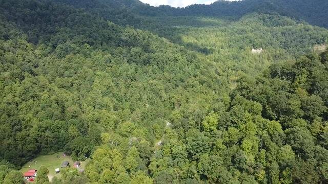 Image for SOLD $104,500 - 121 Acres in Wyoming County Selling to the Highest Bidder