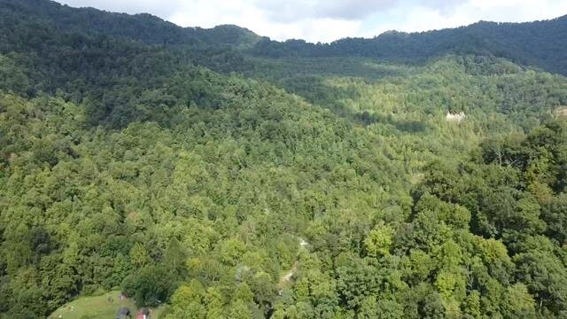 Image for SOLD $104,500 - 121 Acres in Wyoming County Selling to the Highest Bidder