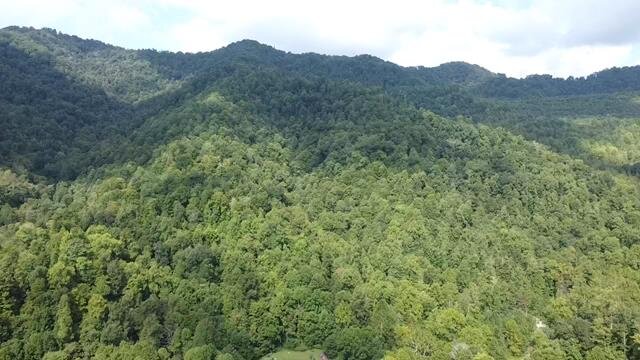 Image for SOLD $104,500 - 121 Acres in Wyoming County Selling to the Highest Bidder