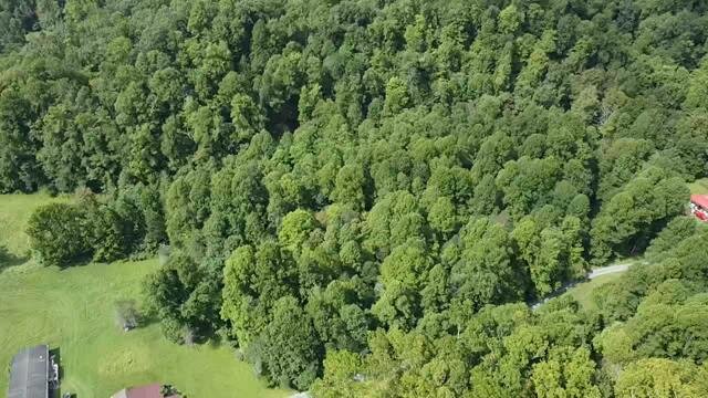 Image for SOLD $104,500 - 121 Acres in Wyoming County Selling to the Highest Bidder