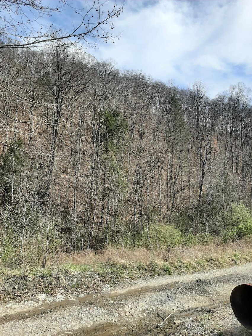 Image for SOLD $104,500 - 121 Acres in Wyoming County Selling to the Highest Bidder