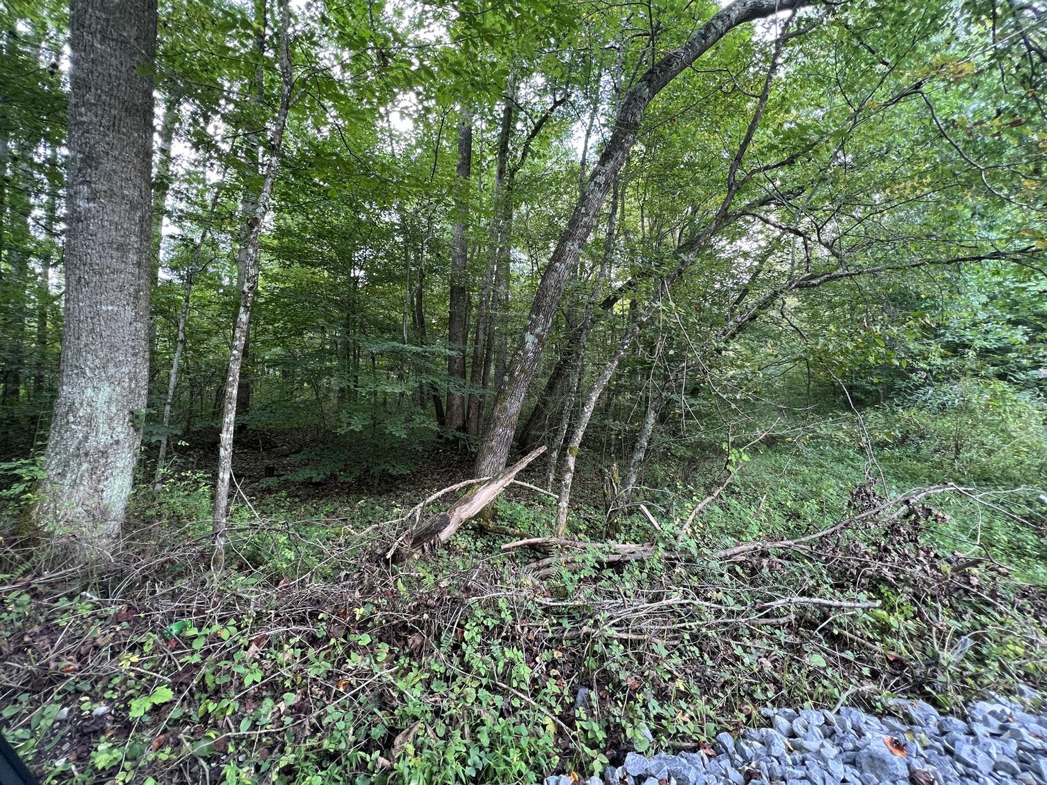 Image for SOLD $104,500 - 121 Acres in Wyoming County Selling to the Highest Bidder