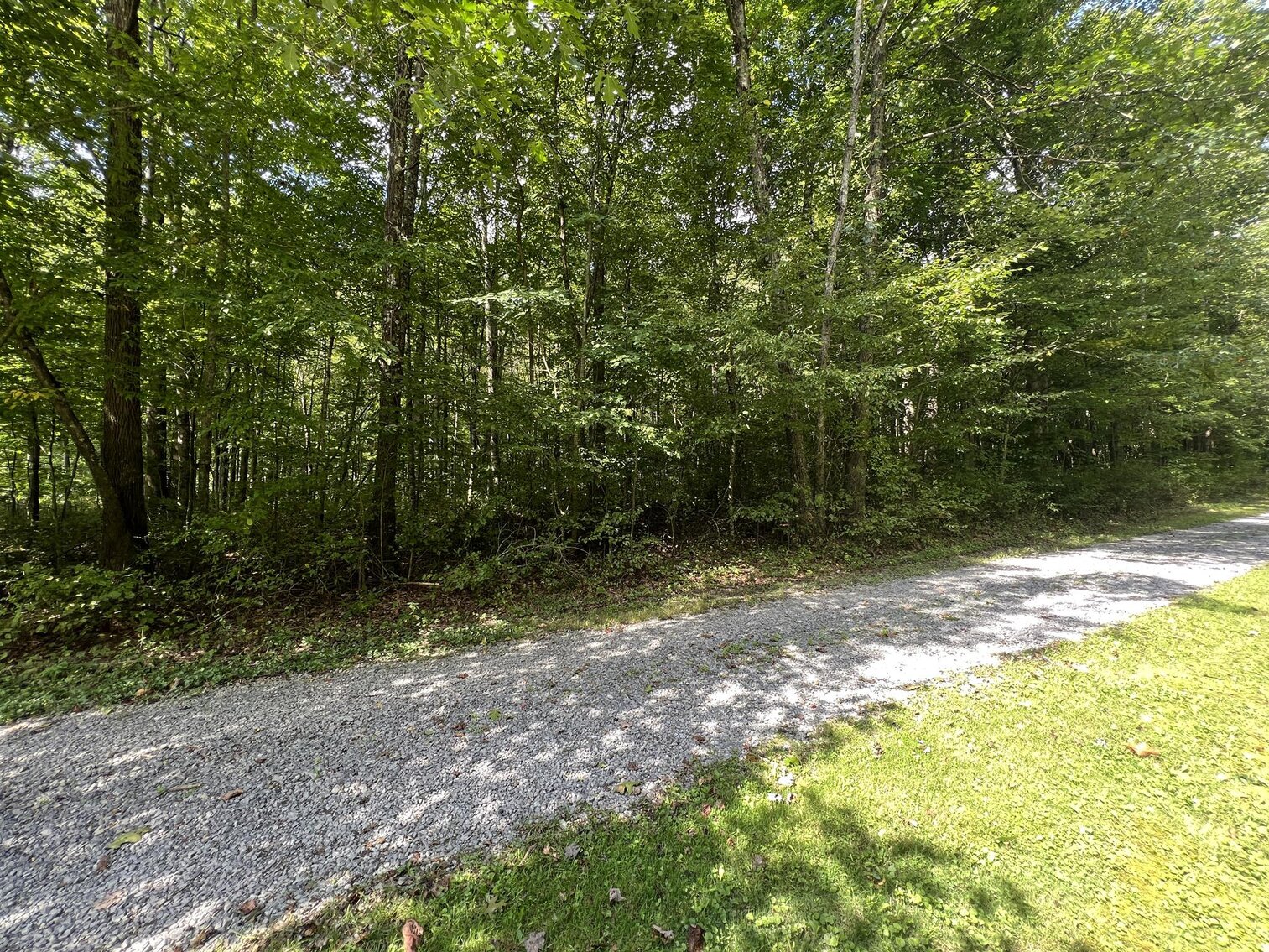 Image for SOLD $104,500 - 121 Acres in Wyoming County Selling to the Highest Bidder