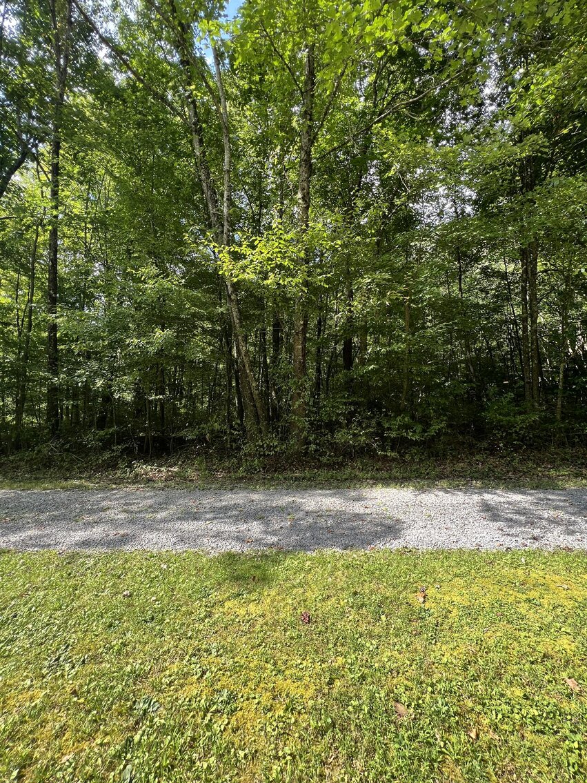 Image for SOLD $104,500 - 121 Acres in Wyoming County Selling to the Highest Bidder