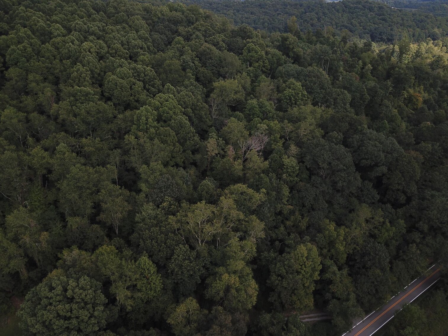 Image for SOLD $15,950 - 2 Acres on River Road in Morgantown